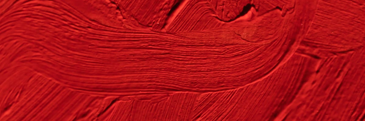 November 2025 Newsletter