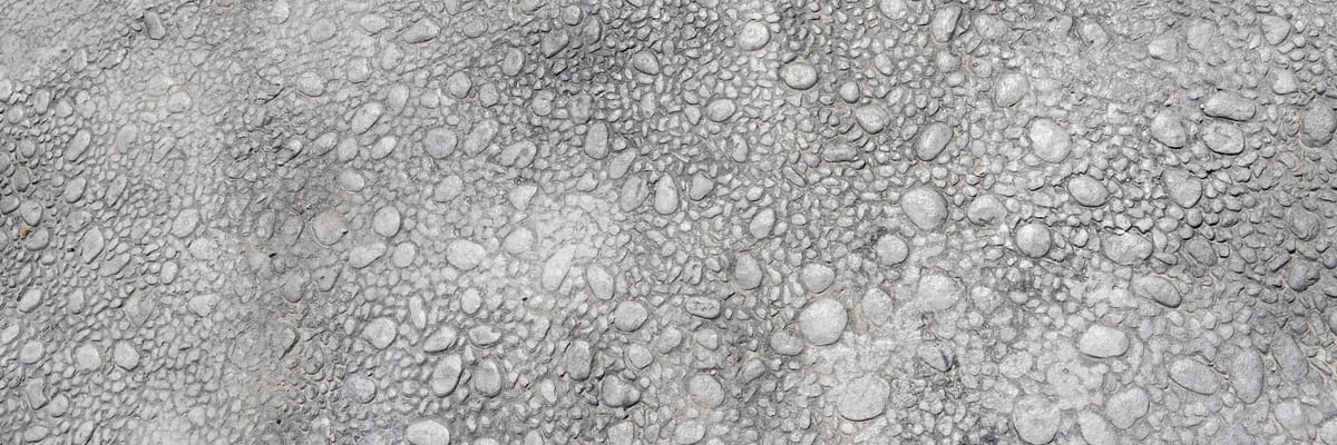 February 2026 Newsletter