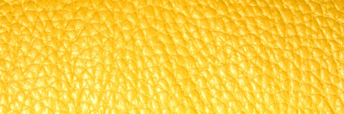 March 2026 Newsletter